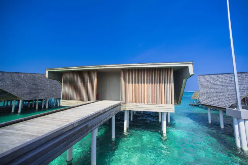 Green or Greenwashed? How Discerning Travelers Can Separate Genuine Sustainability from Resort Marketing Theater