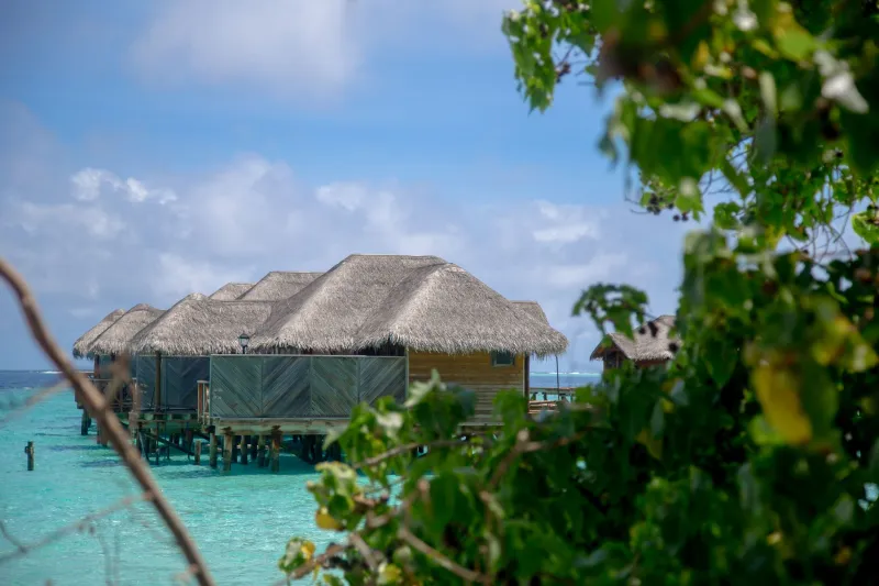 Luxury Without Compromise: The New Covenant Between High-End Island Resorts and the Natural World